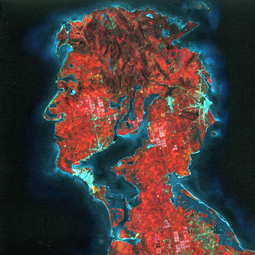 Higelin